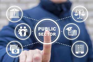 Public Sector
